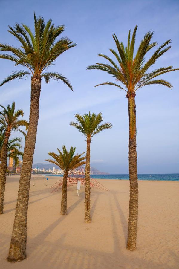 Ibis Budget Alicante Pension Sin Comedor Экстерьер фото